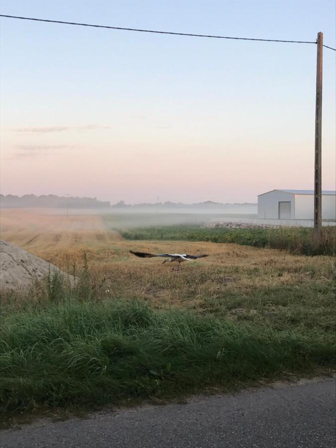 Mazur 35 Lejlighed Szyldak Eksteriør billede